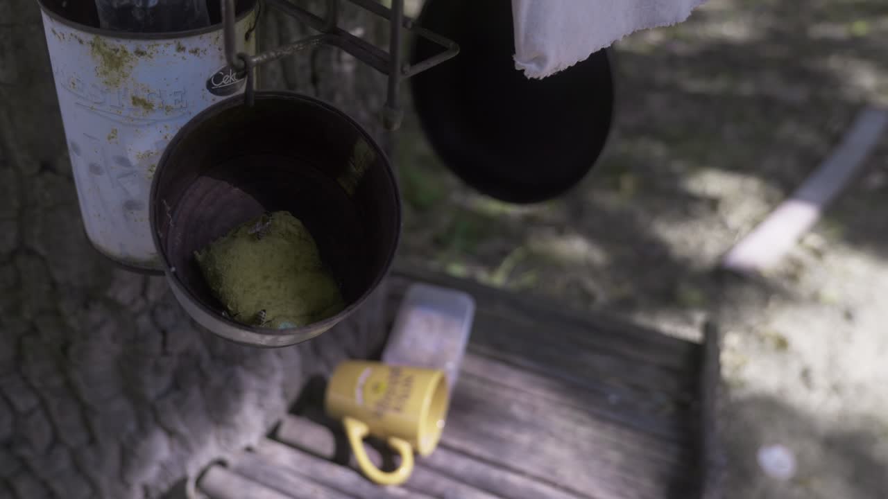Close up of bees fly into tin drinking cups hanging on tree