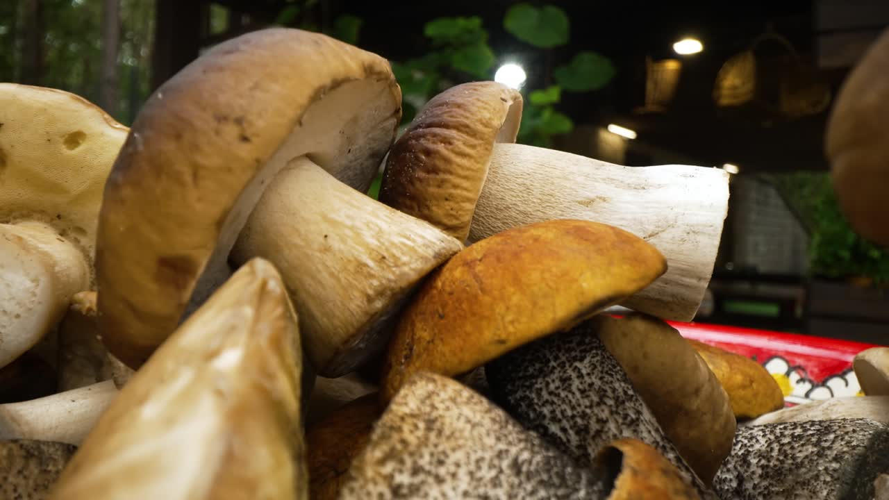 Slow slider pull-back shot revealing a bowl filled with fresh wild forest mushrooms on a rustic table. Cinematic food scene with natural light, shallow depth of field, and cozy countryside atmosphere