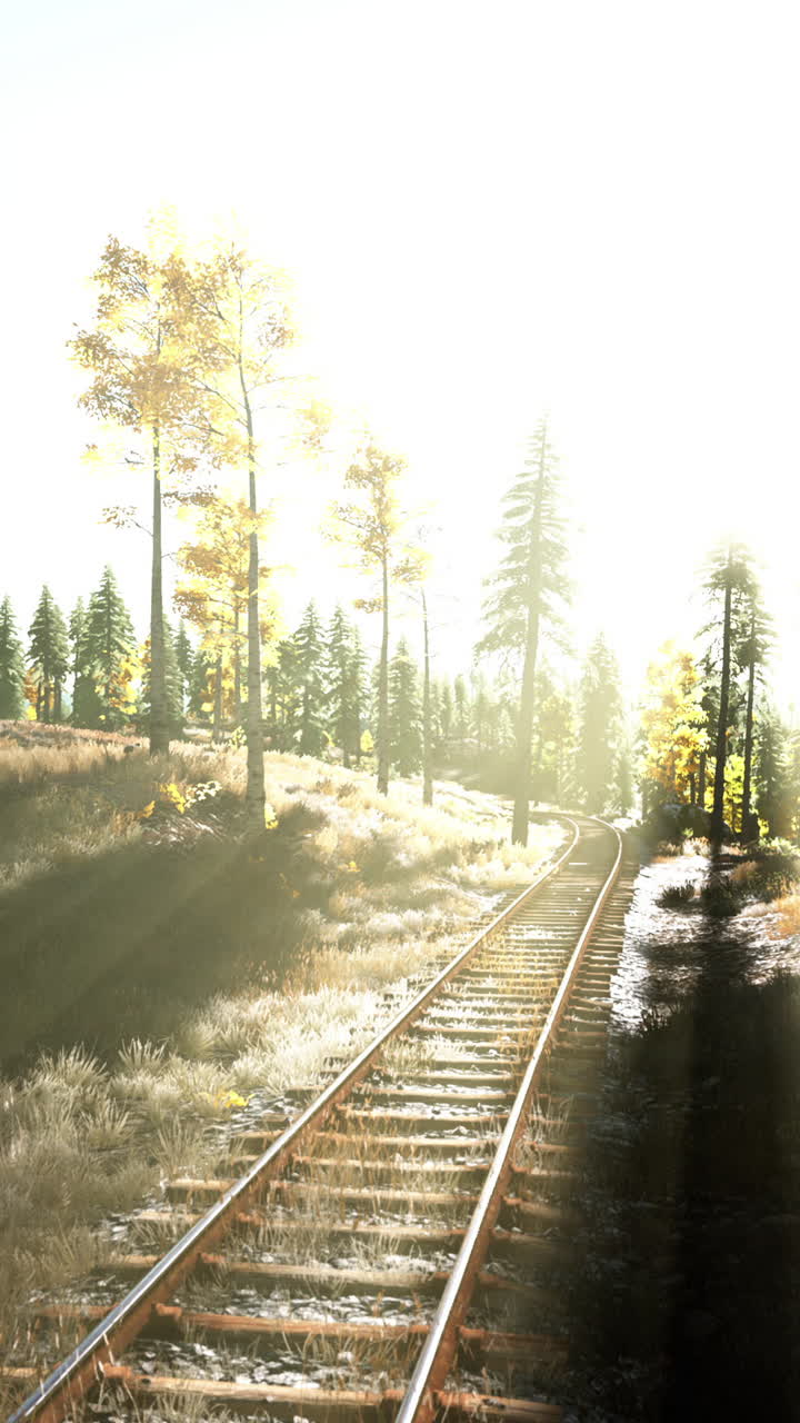 una vía ferroviaria a través de un bosque