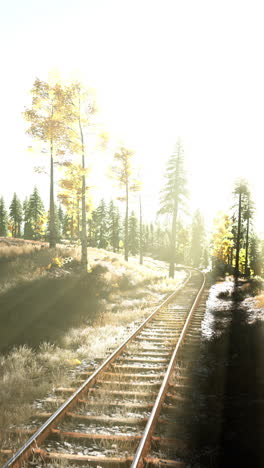 una vía ferroviaria a través de un bosque