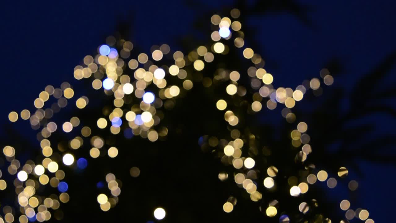 Weihnachtsbaum mit bunten Lichtern bei Nacht in einer europäischen Stadt