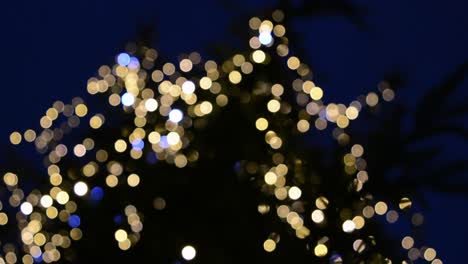 christmas tree with multi-colored lights at night, in a europe city