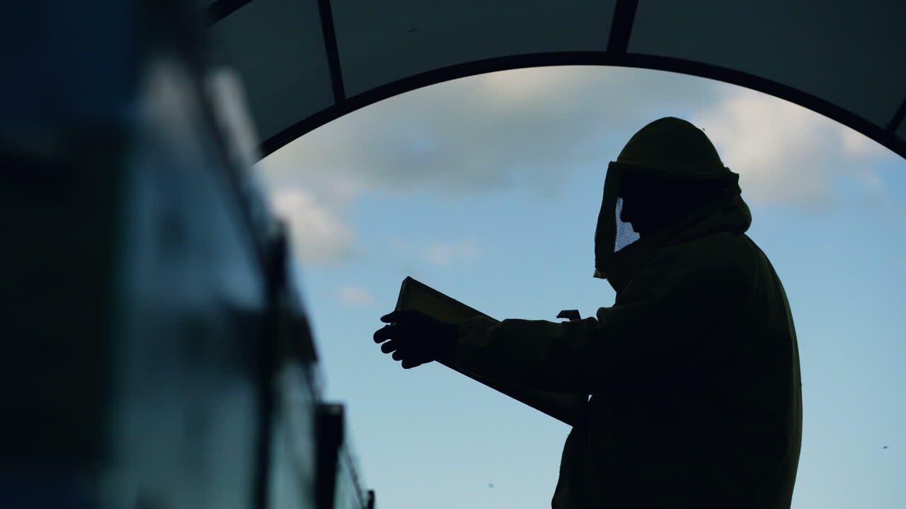 Beekeeper inspecting beehives