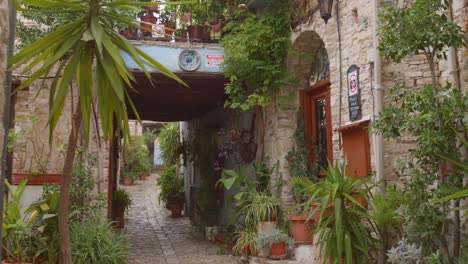 traditional buildings and alley with green plants in pano lefkara, cyprus. - tilt down shot