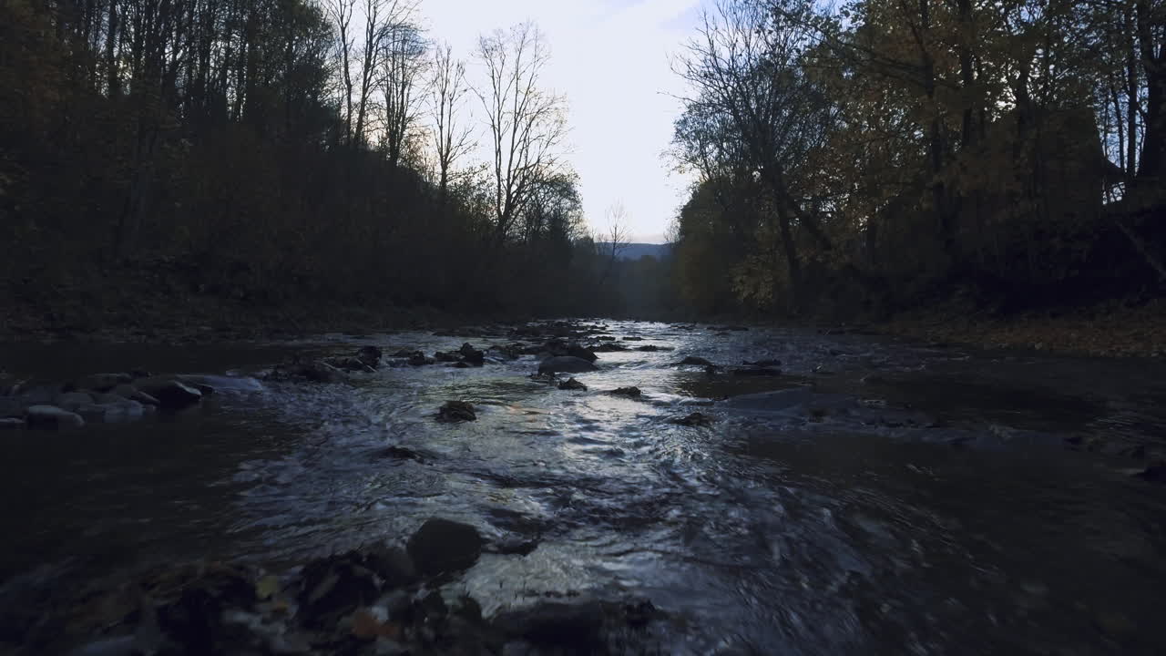 Drone flies very low over shallow, mountain river. Water rushing over rocks, creating ripples. Bare trees line the banks, framing calm, winding creek. Dim light, tranquil mood, cinematic. Bieszczady