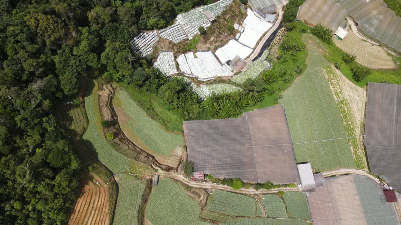 말레이시아의 카메론 하이랜드 지역 내의 브린창 지역의 일반 풍경