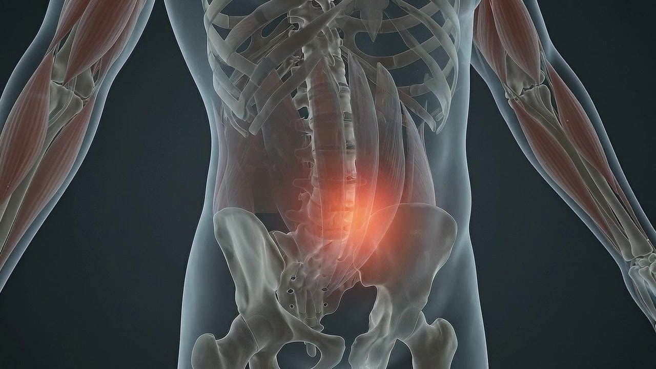 Rear torso with bright pain highlight across lower lumbar spine in medical view