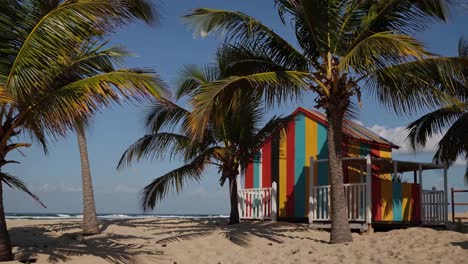 colorful beach hut among palm trees, shot from a low angle. the video captures a vibrant, tropical