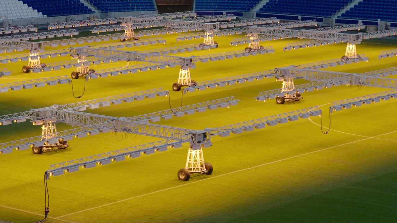 빈 축구 경기장에서 잔디를 조명하는 바에 있는 성장 조명 줄, 유지보수 개념, 저녁 조명
