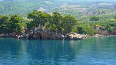 beautiful green shoreline of croatia