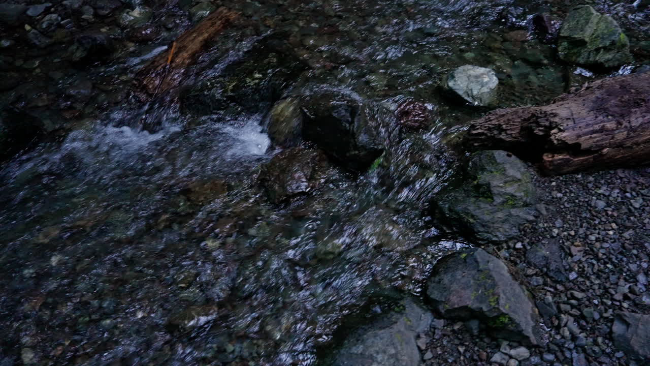 Fos i Olympic Nationalpark, Washington, der strømmer gennem frodig skov og mosdækkede klipper. Naturskønt og fredfyldt landskab, ideelt til rejse- og landskabsoptagelser.