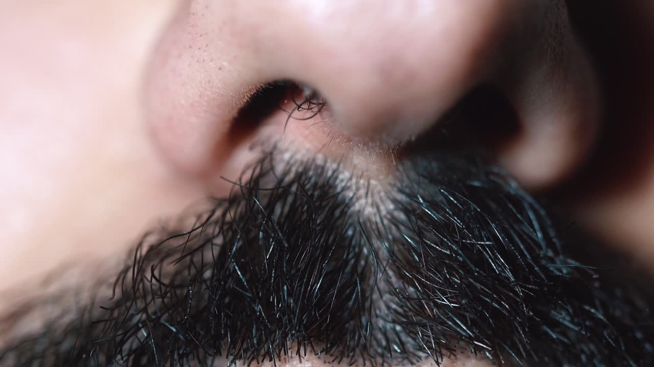 primer plano de la nariz y la barba de un hombre
