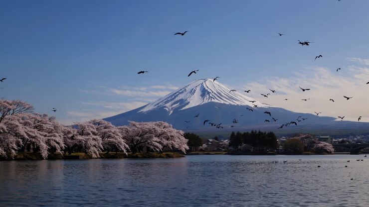 Scenic video of Mount Fuji with cherry blossoms and birds in flight