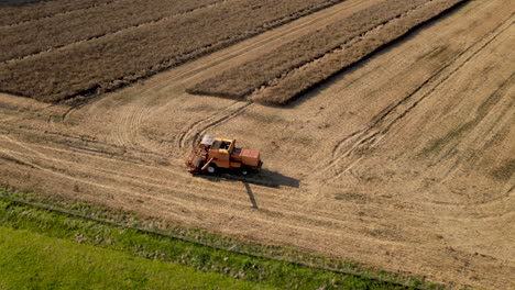 Mähdrescher-Bei-Der-Arbeit-Auf-Einem-Großen-Rapsfeld