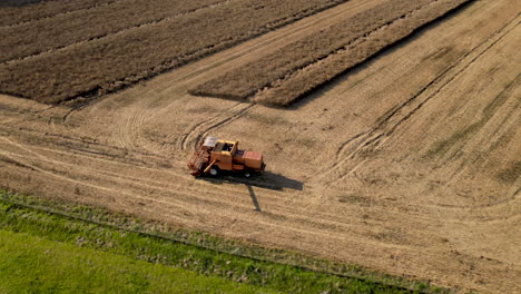 cosechadora trabajando en un gran campo de colza