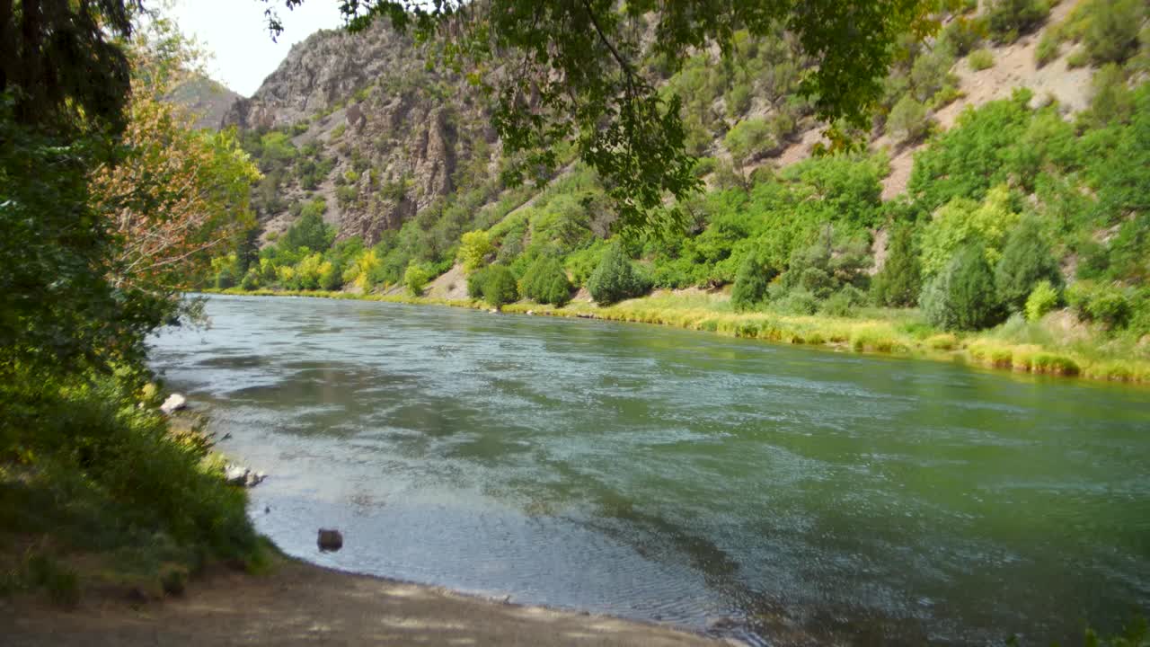 Crystal-clear, emerald-like water flows through Black Canyon of the Gunnison National Park, Colorado. Surrounded by lush green trees, gentle waves ripple from a soft breeze, rocky landscapes.