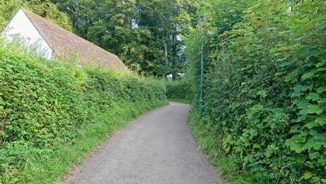 a scenic walk along a garden path