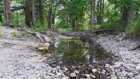 This-is-a-video-of-the-Medina-River