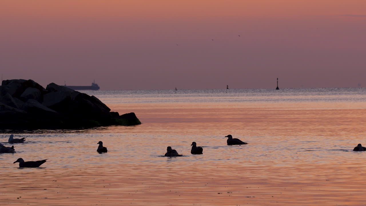 Soft light bathes the waves and shoreline of Gdynia Orłowo at dawn