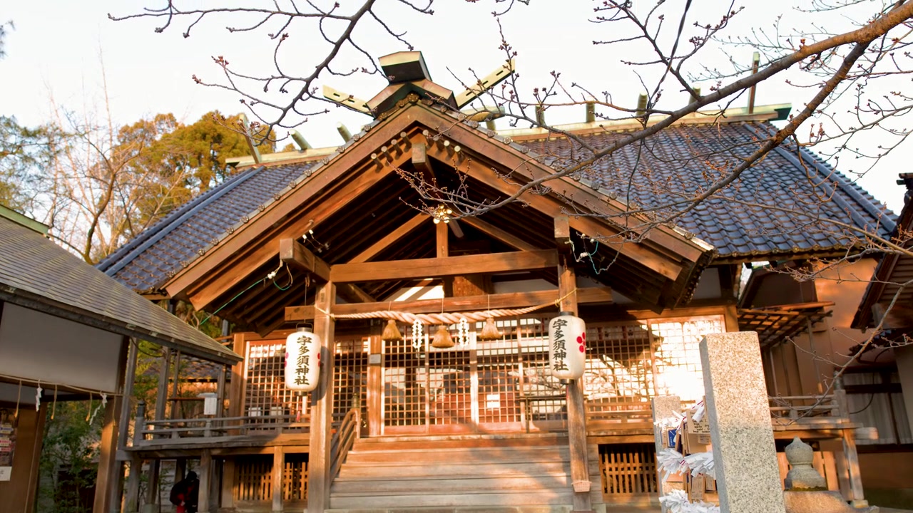 一個靜態廣角鏡頭捕捉到宇多須神社華麗的木製外牆和屋頂。