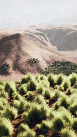 a breathtaking view of a grassy field with mountains in the background