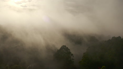 heavy fog rolls in and out of frame showing the forest below