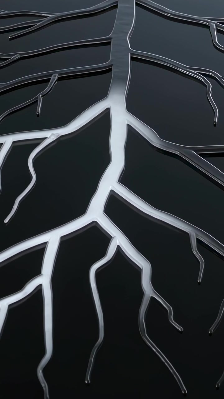 Vertical video: Moving bright fill through center trunk from top on dark matte base revealing form