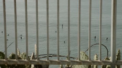 surfers on the ocean as seen through a guard rail at a vista point in encinitas, california