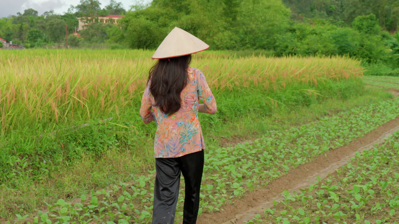 아시아 여성 농부,  모자와 전통 의상을 입고 비옥한 에 씨을 뿌리고 채소를 재배합니다.