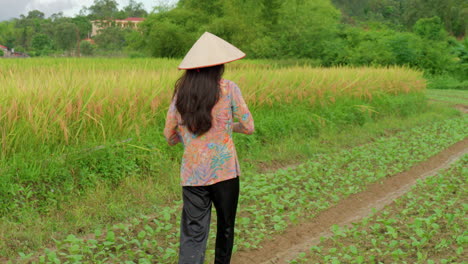 Mujer-Asiática-Que-Cultiva-Con-Sombrero-De-Arroz-Y-Ropa-Tradicional-Sembrando-Semillas-En-Una-Plantación-De-Campo-Fértil-Cultivando-Vegetales