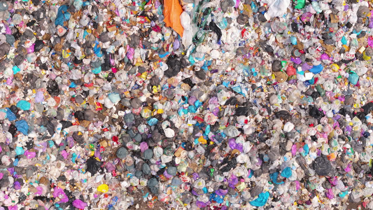 화려한 플라스틱 쓰레기 봉투 위를 날아다니는 해파리들의 메스꺼운 모습.