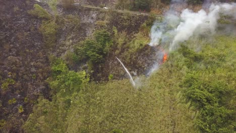 bombero apagando un incendio de vegetación, coches pasando por la carretera en el fondo
