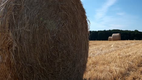 Schwenk-über-Erntefrische-Heuballen