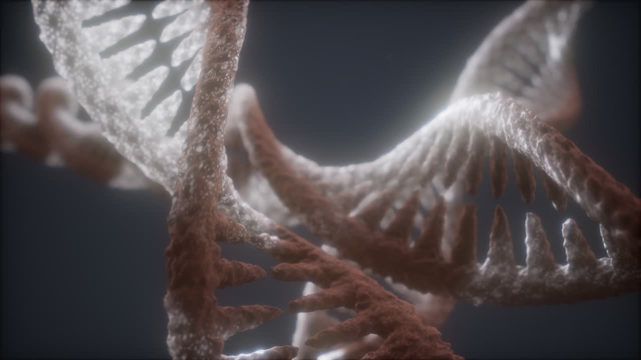 dna 가닥의 이중 루프 나선형 구조 클로즈업 애니메이션