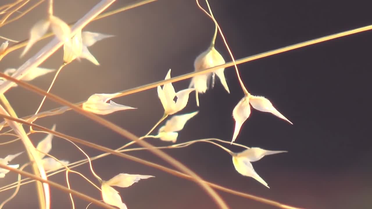 한 남자가 광야에서 일기를 쓴다