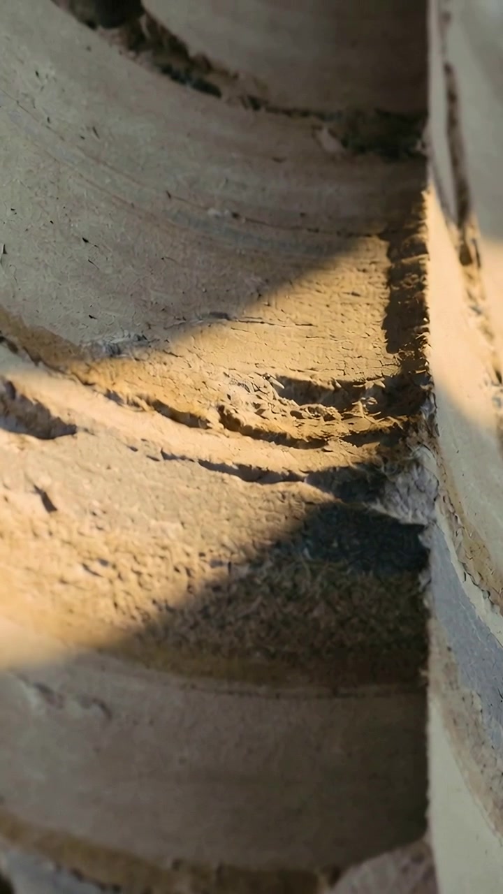 Video vertical: La cámara se inclina con la luz solar cambiante, revelando crestas curvas de terracota dentro de una maceta.