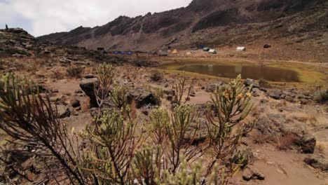 Tilt-up-to-wide-shot-of-Kilimanjaro-camp