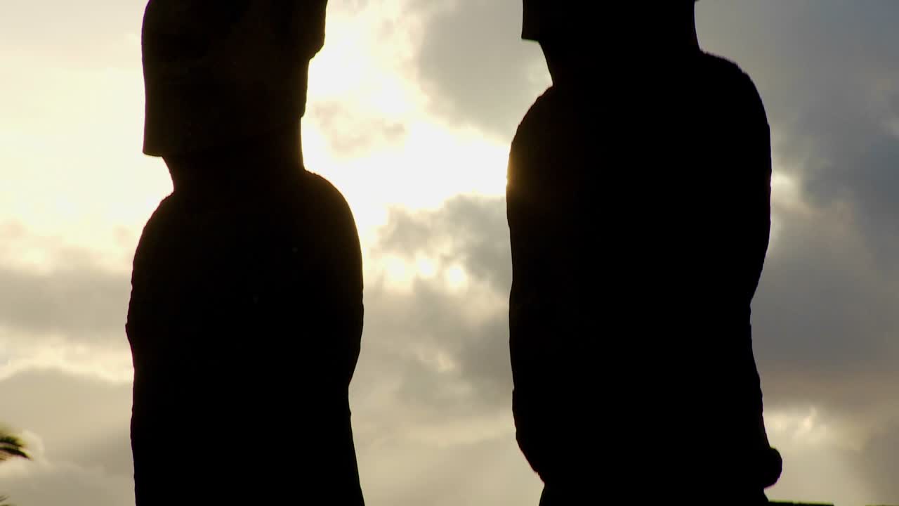 위로 기울이면 이스터 섬 동상의 상투에 둥지를 틀고 있는 새들이 보입니다.