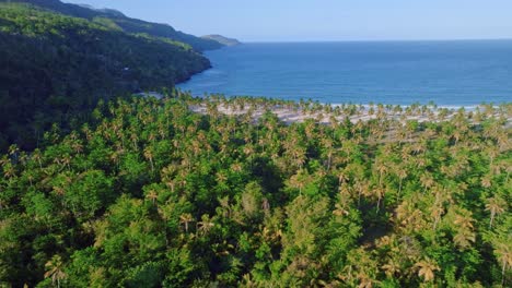 Vista-Aérea-Del-Denso-Bosque-Tropical-En-Playa-Rincón,-Provincia-De-Samaná,-República-Dominicana