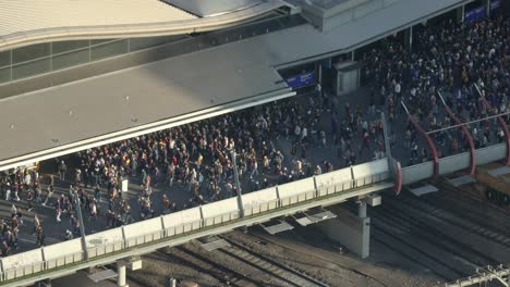 large crowd gathered at train station platform