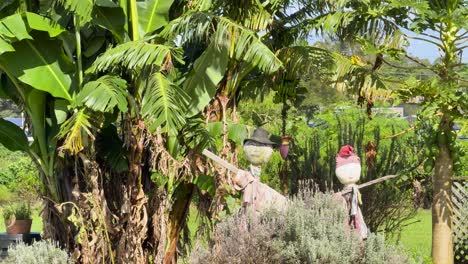 a stationary scarecrow stands near banana trees in a lush, sunlit garden. the camera remains still, capturing vibrant greenery and clear daylight