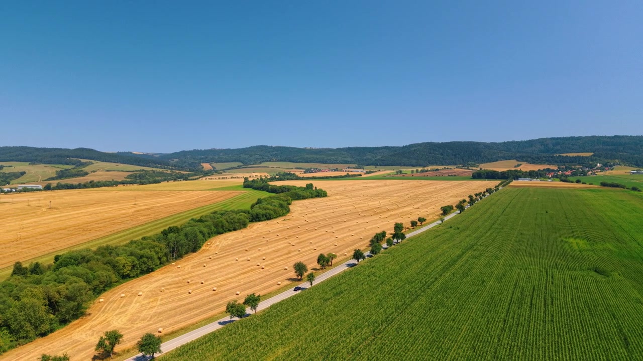 Patchwork of harvested and green fields beside a rural road. An elevated view shows a diagonal tree lined route between crops, with rolling hills under clear skies.