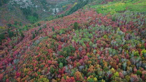Trees-With-Autumn-Colors-Growing-On-The-Mountain-Slopes-Of-Utah,-USA