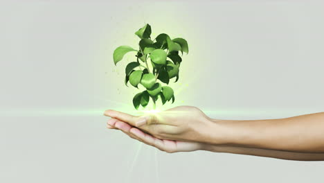 Hands-presenting-digital-green-plant-growing