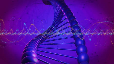 Animation-of-dna-strand-and-data-processing