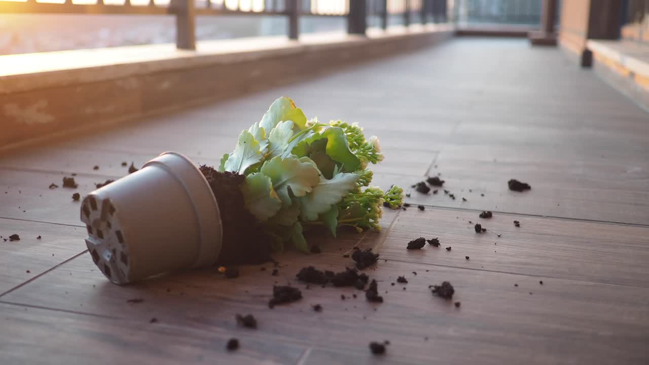 Fallen flowerpot on the terrace