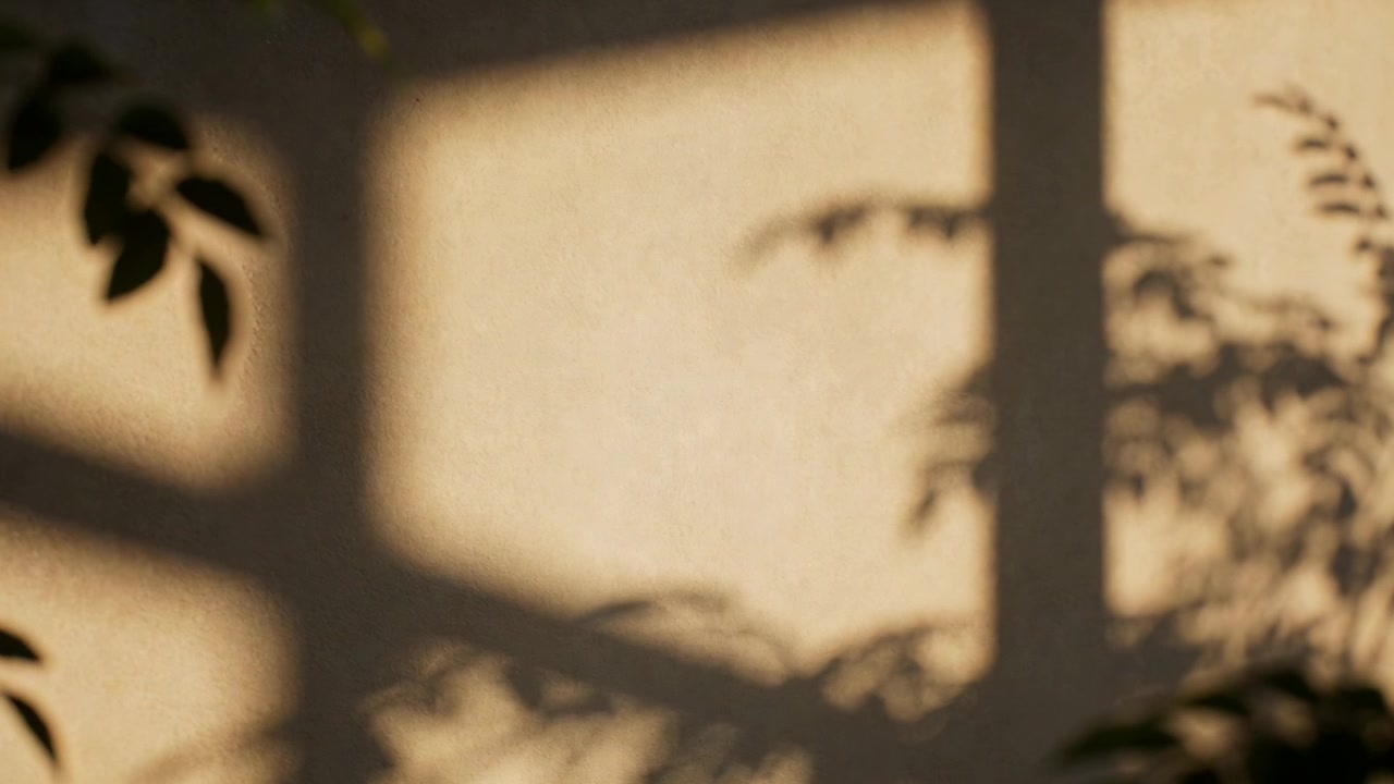 Shifting window grid and foliage shadows moving across warm painted wall in room, sunlight changing