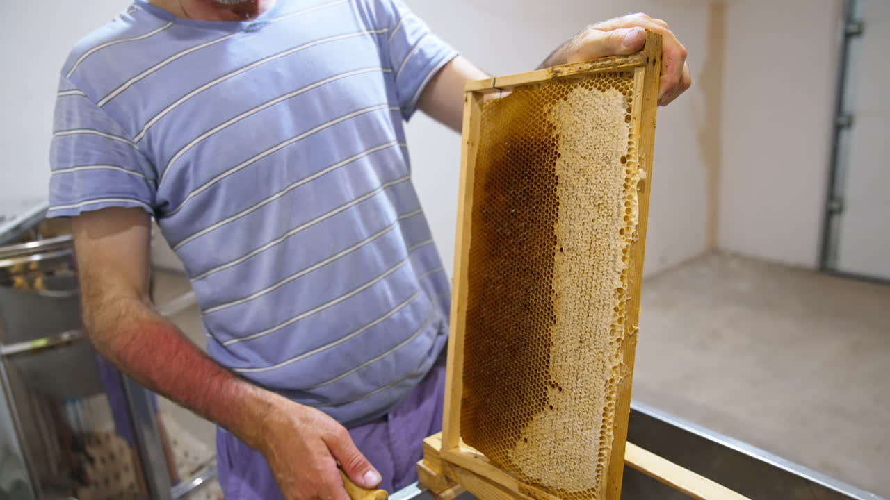 Male apiarist uses electric spatula for opening wax cells. Sealed frames are being opened for honey extracting.