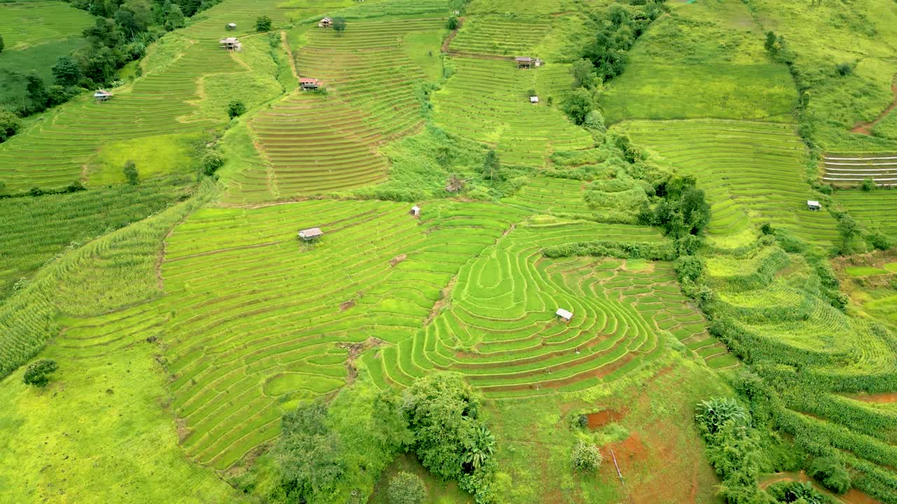 태국 치앙마이 인근의 도이 이타논에서 아름다운 산과  ⁇  테라스의 4k 영화 자연 공중 드론 영상