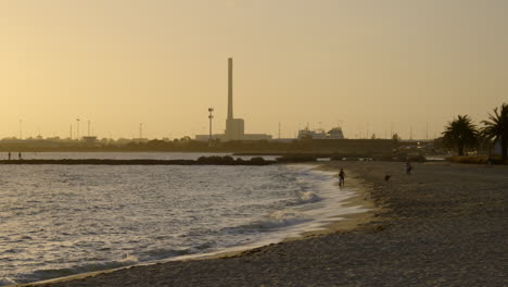 Family-walking-their-dog-along-the-beach-at-sunset